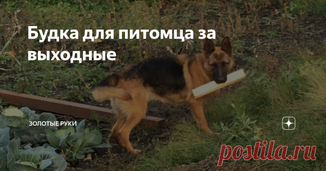 Будка для питомца за выходные Всем привет!
Приобрёл так сказать питомца,  ну и будку решил в стиле дома сделать за выходной! Оценивайте господа !!  Утеплил по максимуму.
Продолжение уже будет вольер!
Работу прислал Сергей Сургучёв, Пенза.