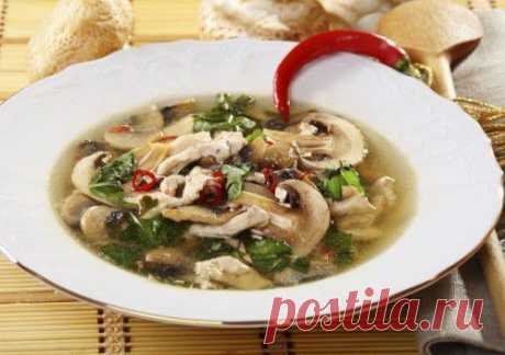 Супы с шампиньонами: 7 вкусных рецептов на каждый день / Простые рецепты