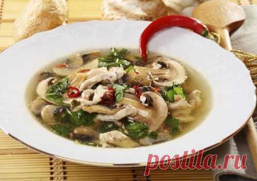 Супы с шампиньонами: 7 вкусных рецептов на каждый день / Простые рецепты