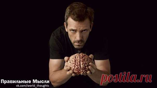 117 СПОСОБОВ РАСКРЫТЬ ВОЗМОЖНОСТИ МОЗГА / Восприятие бизнеса