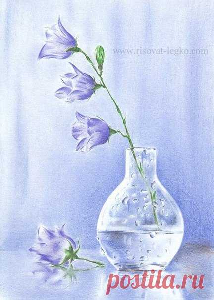 Рисуем натюрморт карандашом