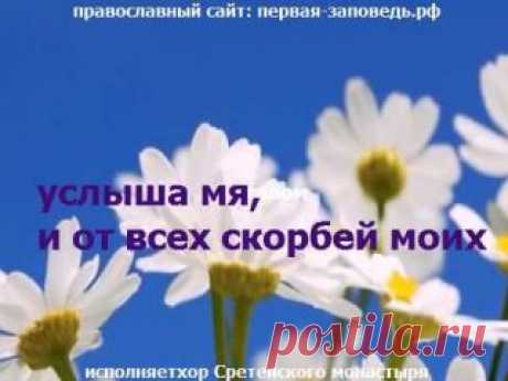 Ольга Акулина | ВКонтакте