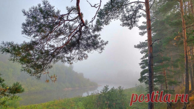 Во время сильного-сильного тумана