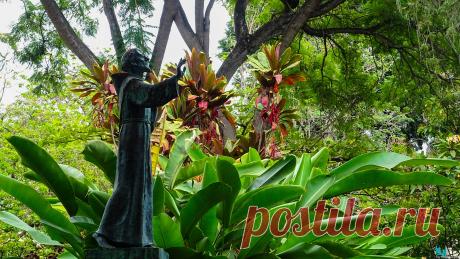 Природные чудеса Португалии:остров Мадейра(Ilha da Madeira)