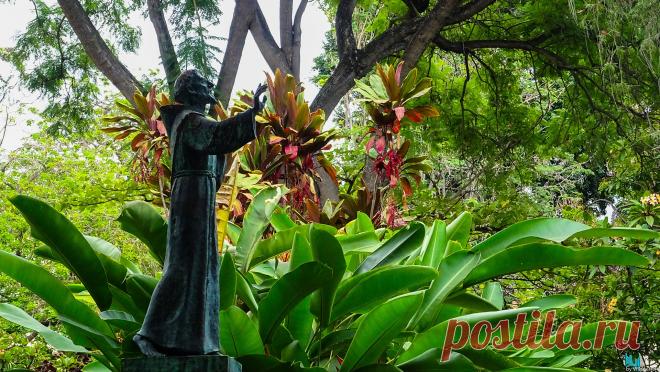 Природные чудеса Португалии:остров Мадейра(Ilha da Madeira)