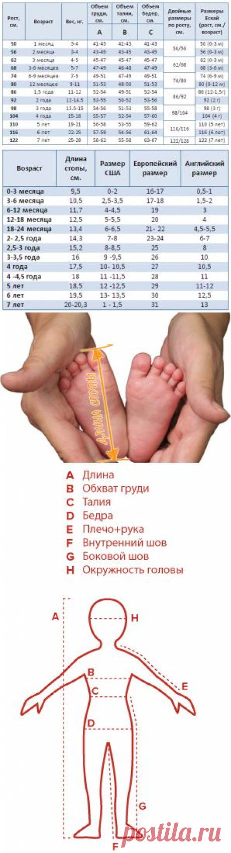 РАЗМЕРНЫЕ СЕТКИ
