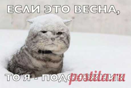 Подснежник...