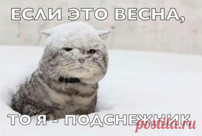 Подснежник...