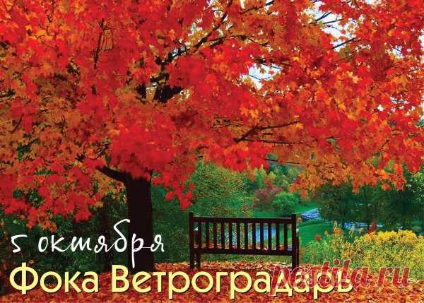 Даруй Вам Господь всего хорошего, что всячески могло бы способствовать Вам в устроении спасения души Вашей! Открытки на День Ионы и Фоки.