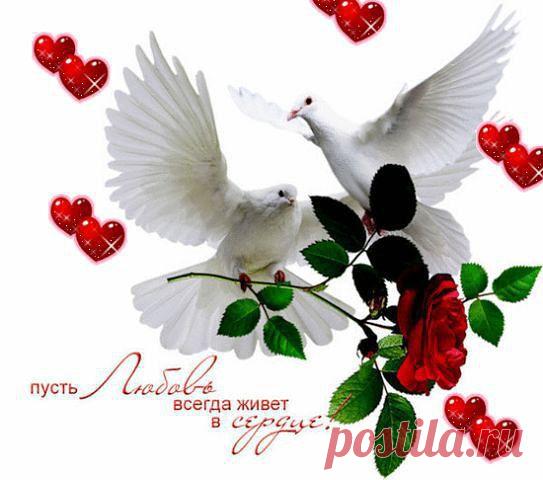 2282662302.jpg (543×480)