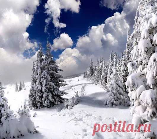 Google+