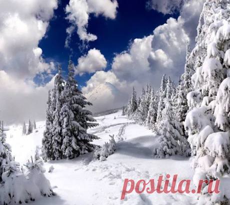Google+