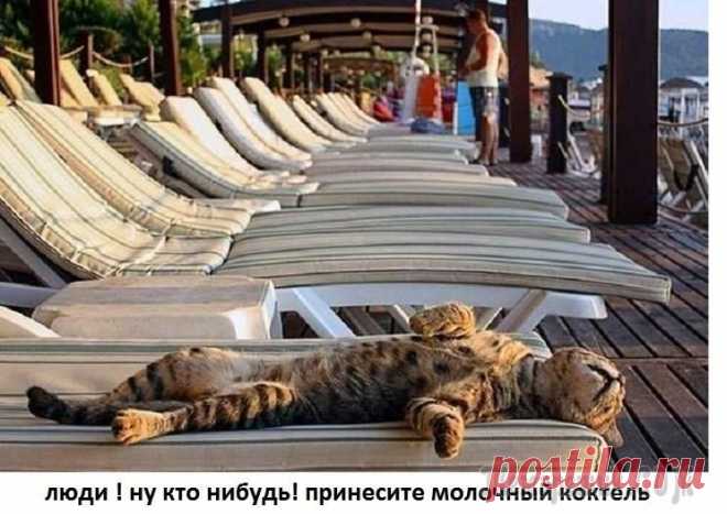 налёт улыбки
