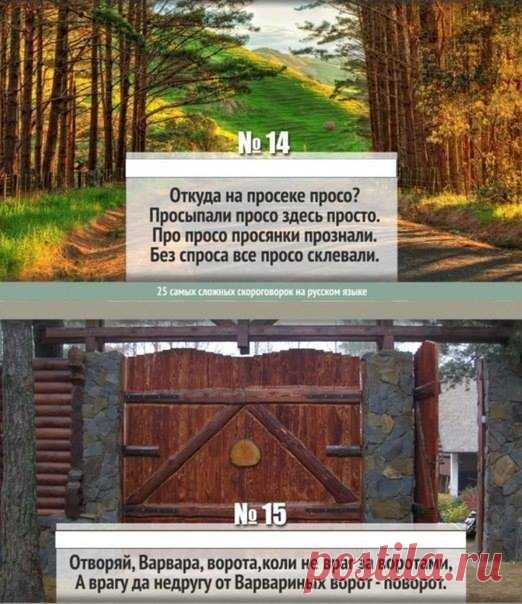 Наташа Мадяр