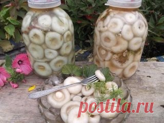 (40) Одноклассники