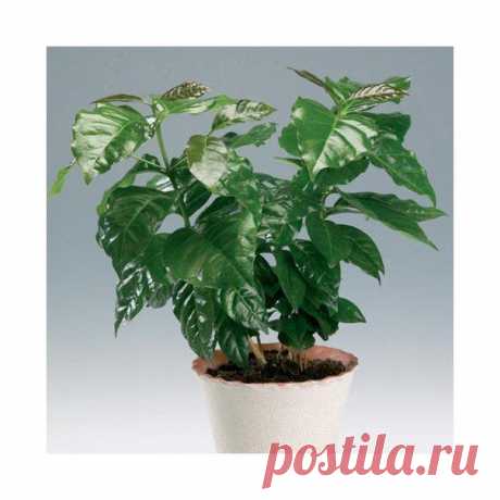 სიახლეები