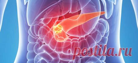 Большое спасибо за этот рецепт — забыла о панкреатите на много лет! - Образованная Сова