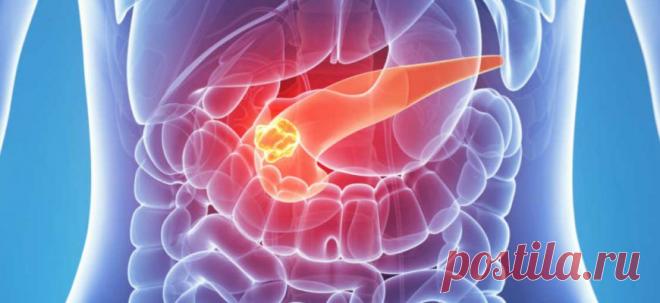 Большое спасибо за этот рецепт — забыла о панкреатите на много лет! - Образованная Сова