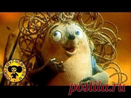 ▶ Песни из мультфильмов - Песня ежа и белой вороны (из м/ф Ежик должен быть колючим?) - YouTube