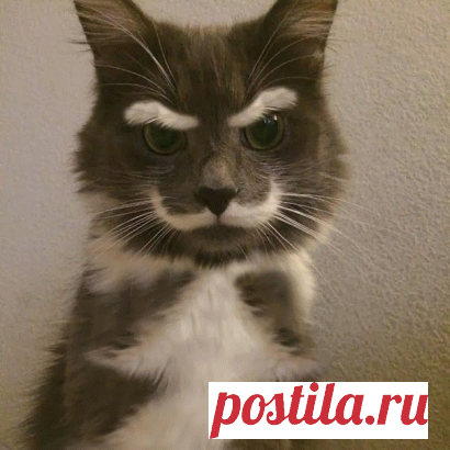 Вопросник