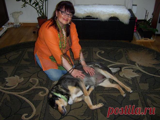 Рейки терапия для животных