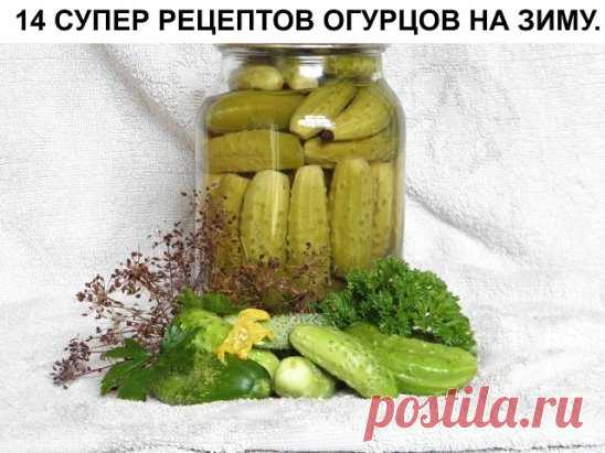 (93) Одноклассники