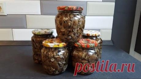 Маринуем опята на зиму.Не уксусные.Слабосоленые.Пальчики оближешь!