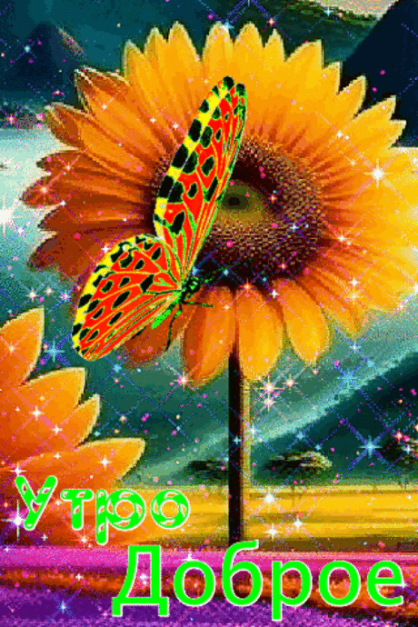Доброе утро