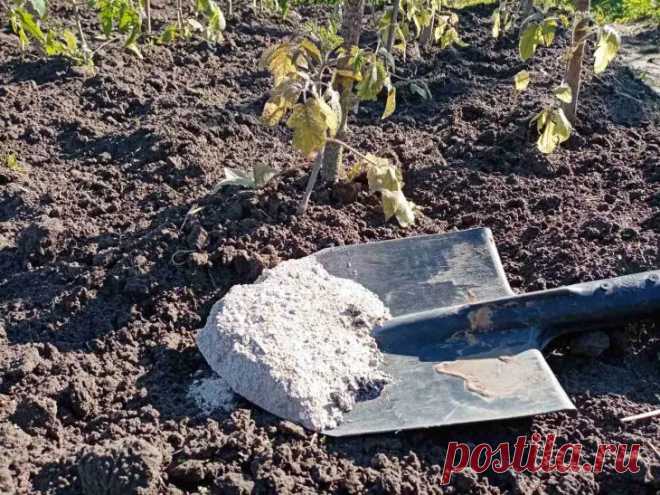 Что мешает усвоению удобрений: ошибка, из-за которой ваши подкормки работают впустую. Одна из самых коварных и распространенных причин бесполезности удобрений кроется в кислотности почвы.