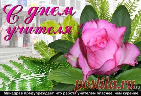 С ДНЁМ УЧИТЕЛЯ!!! | СОЗВЕЗДИЕ СЧАСТЬЯ | Группы Мой Мир