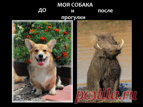 Наша Белка она такая))))