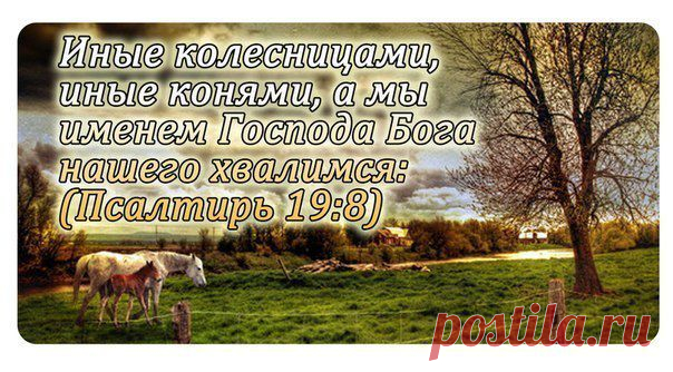 Новости