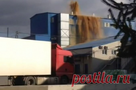 На воронежском заводе произошло извержение дрожжей — Рамблер.Новости