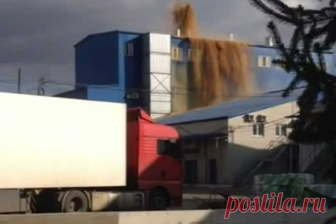 На воронежском заводе произошло извержение дрожжей — Рамблер.Новости
