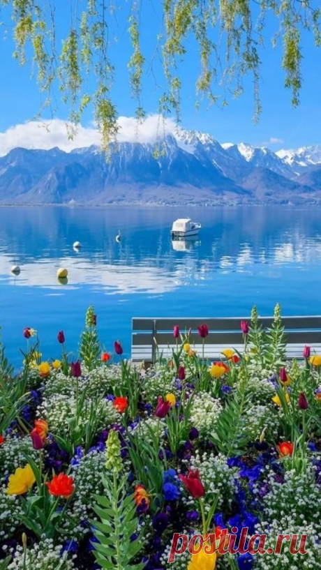 Pinterest