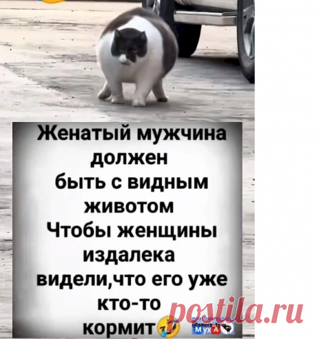 a701ce49.png (896×959)