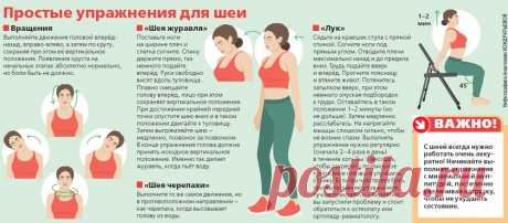 Жить без боли. Простые упражнения для шеи на каждый день | Аргументы и Факты