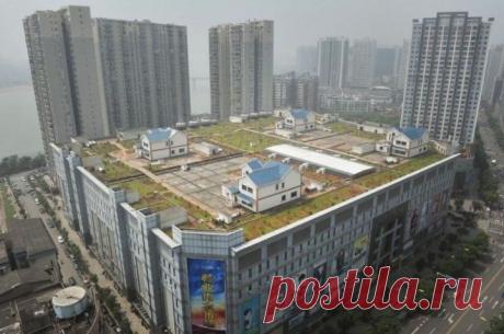 20 необычных фотографий о том, как удивителен мир