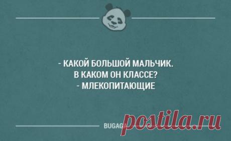 Прикольные фото и картинки (57 шт)