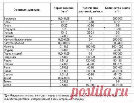 Чего и сколько нам сажать, чтоб закромам не пустовать / Огород / 7dach.ru