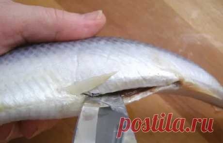 Вот как можно извлечь из селедки все кости за 10 секунд! — Кулинарный дом