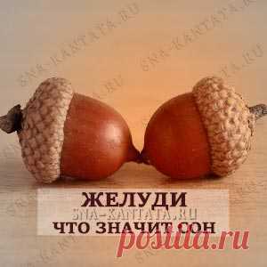 Желуди приснились. Значение сна