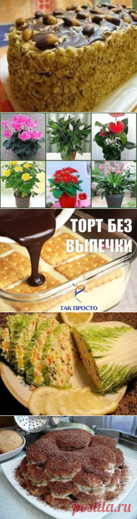 (50) Одноклассники