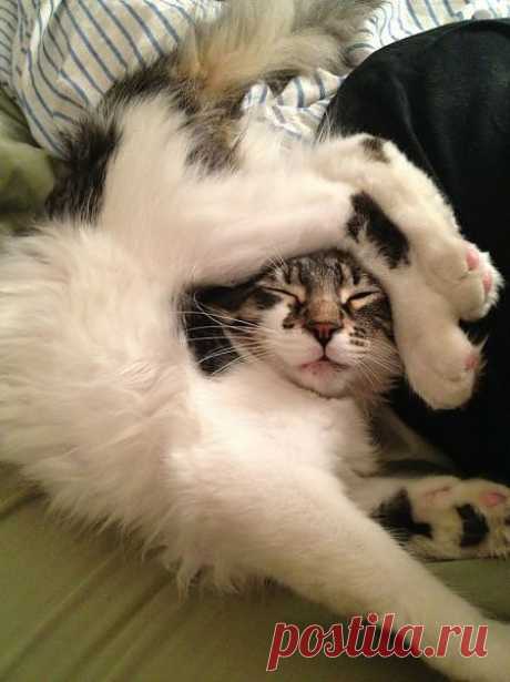Спим