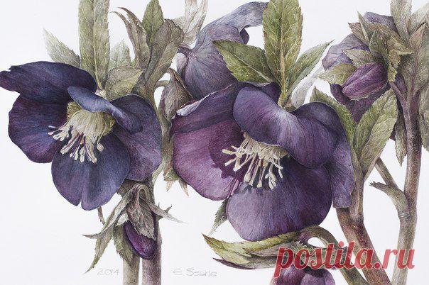 Красота от худ / Удивительное искусство