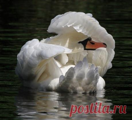 Фотографии $Mavlet$ $ - 821 фото в Моем Мире.