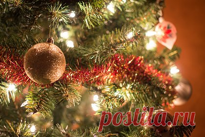 «Самую скромную рождественскую ель в мире» продали за несколько тысяч долларов. В английском Оксфордшире за 3,4 тысячи фунтов стерлингов (4,3 тысячи долларов, или 387 тысяч рублей) была продана одна из первых искусственных елок массового производства. У 123-летнего изделия длиной 38 сантиметров всего 25 ветвей, они украшены шестью миниатюрными подсвечниками и 12 искусственными ягодами.