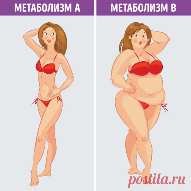 Что такое метаболическая диета и почему она действительно работает
