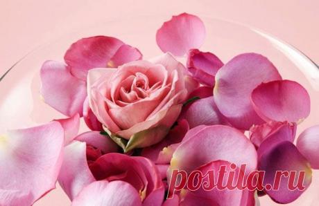 Лечебные свойства розы и розового масла