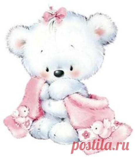 osita blanca
